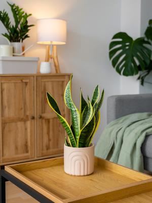 HOME DECOR
